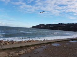 Howth v Dublinu