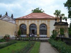 Růžová zahrada