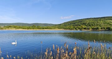Safari jako ve Dvoře Králové i u Ústí? Co čeká jezero Milada
