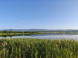 Pohled na jezero Milada a krásnou zeleň okolo