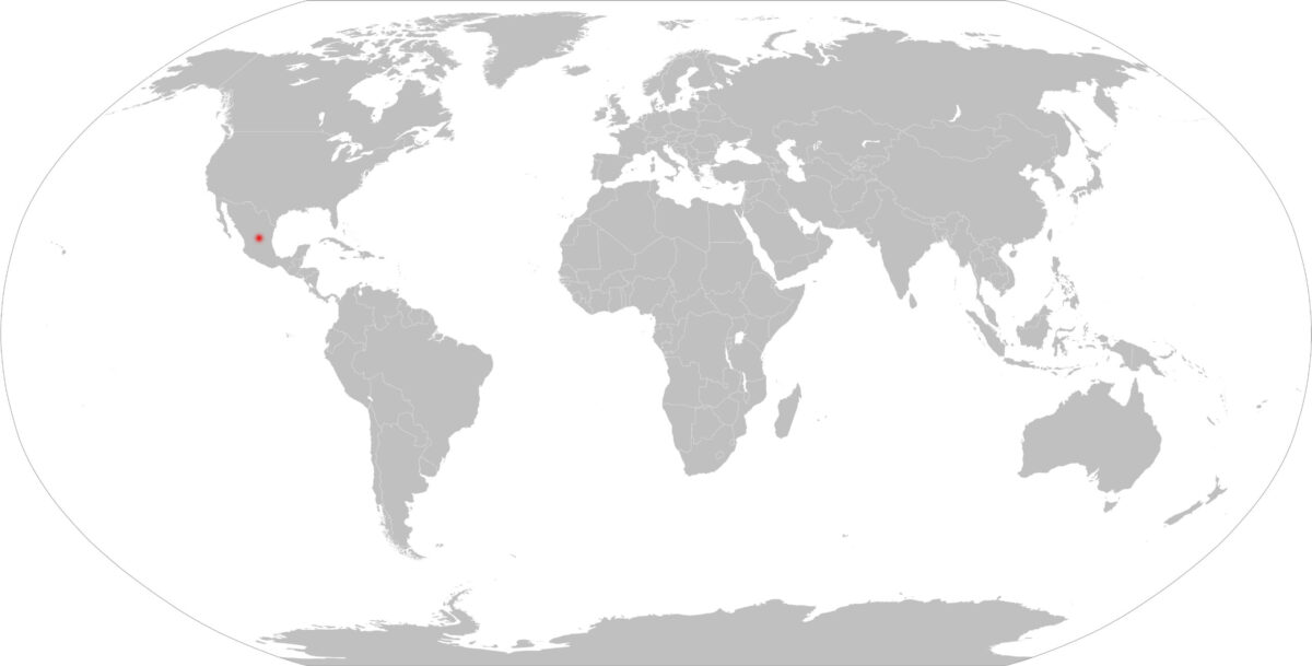 Slepá mapa světa s vyznačenou zemí červeně