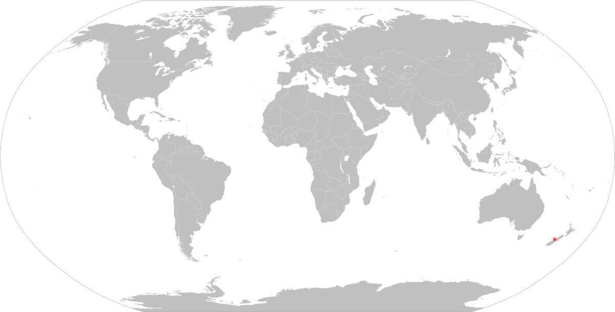 Slepá mapa světa s vyznačenou zemí červeně