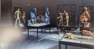 Body Worlds: Proč (ne)jít? Upřímná recenze z Prahy