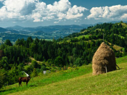 Příroda v regionu Maramureš.