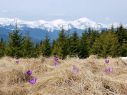 Ilustrační foto: Nízké Tatry
