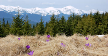 Dovolená na Slovensku? Nízké Tatry jsou levnější než Vysoké a nabízí víc než túry